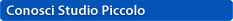 pagina visualizzata